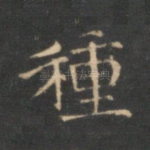 种