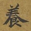 养
