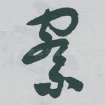 察