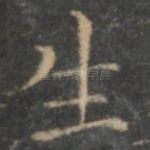 生