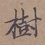 樹