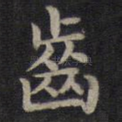 齿