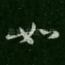 如