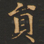 员