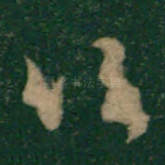 口