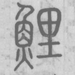 鯉
