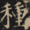 种