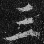 三