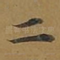 二