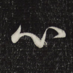 心