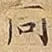 同