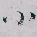 小