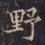野