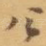 公
