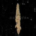 十