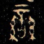䜌