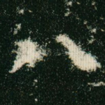 八
