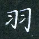 羽