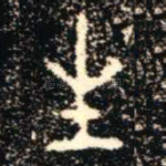 生
