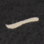 一