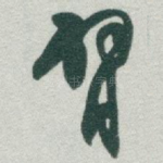 臂