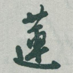 蓮