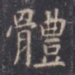 体