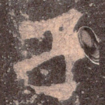 子
