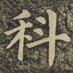 科
