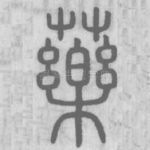 药