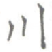 川