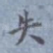 失