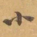 小