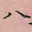 八