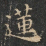 莲