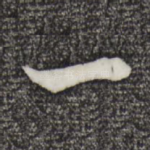 一