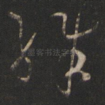 殊