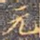 元
