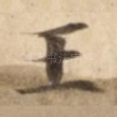 王