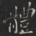 体