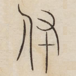 跗