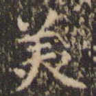 美