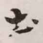 土