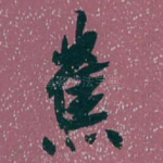 蕉