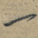 一