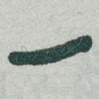 一