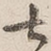 七