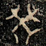 癸