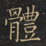 体