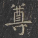 尊